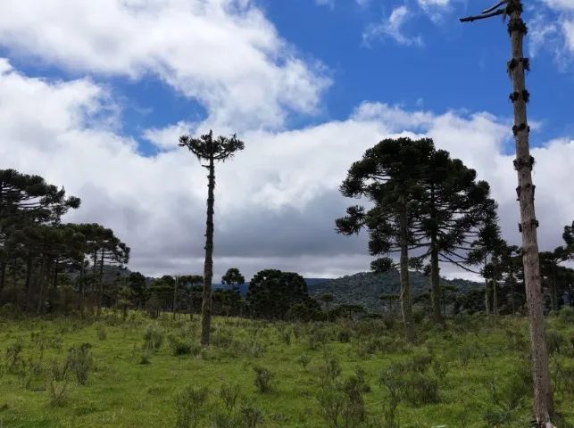 Chácaras a partir de 290 mil - Foto 3