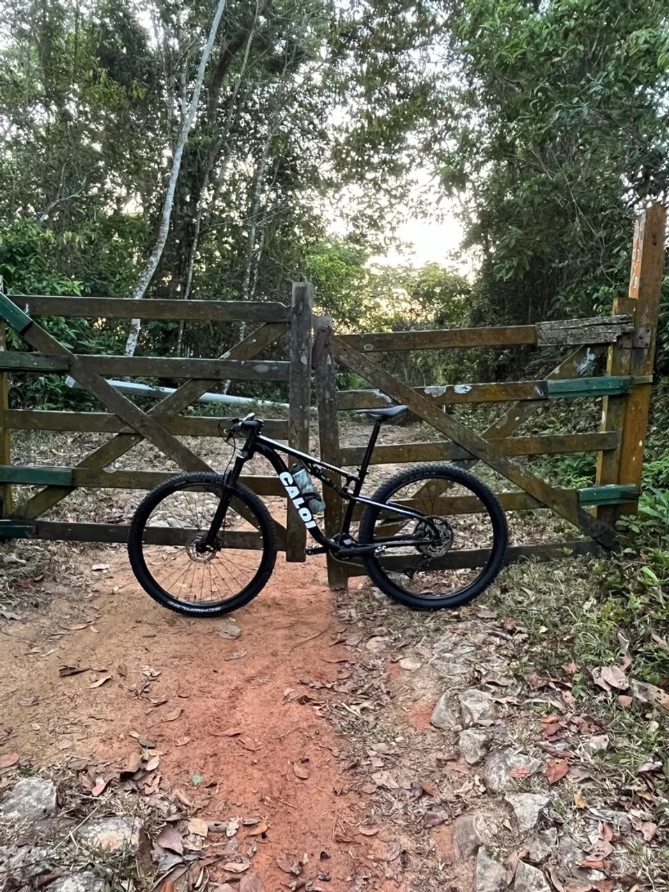 Caloi elite FS Tam 17