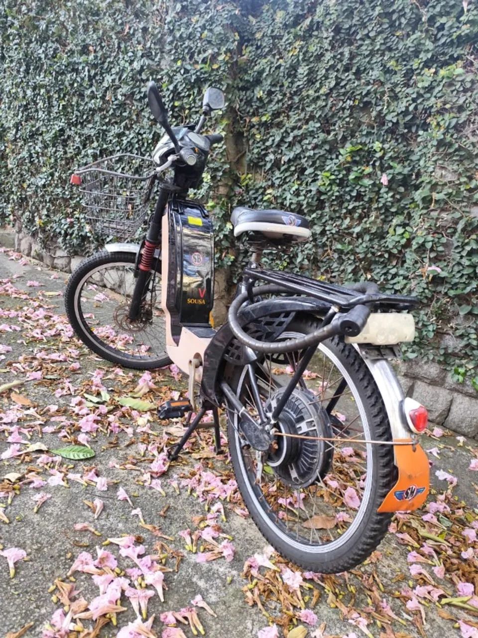 Bicicleta Elétrica - Foto 3