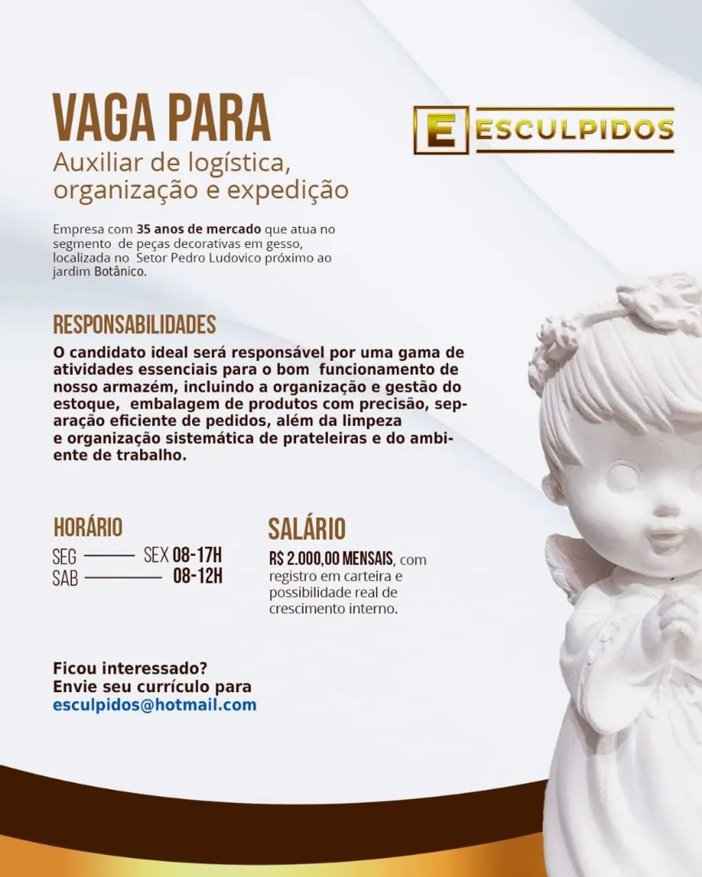 Auxiliar de logística 