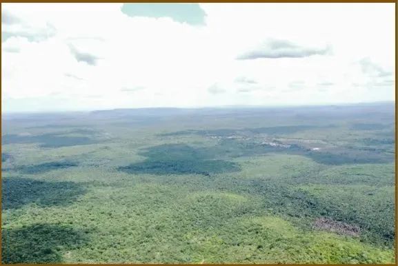 Imóvel para venda com 2.500.000 metros quadrados em Centro - Jardim do Mulato - PI - Foto 5