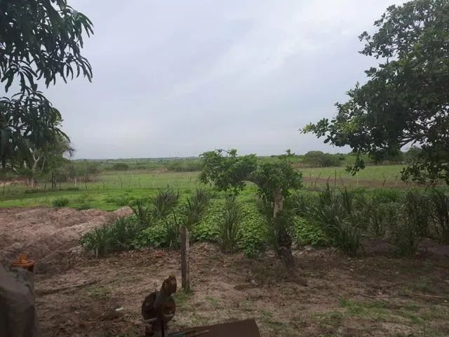 Ótima  Fazenda com 27 hectares de porteira fechada em traíras - Foto 5