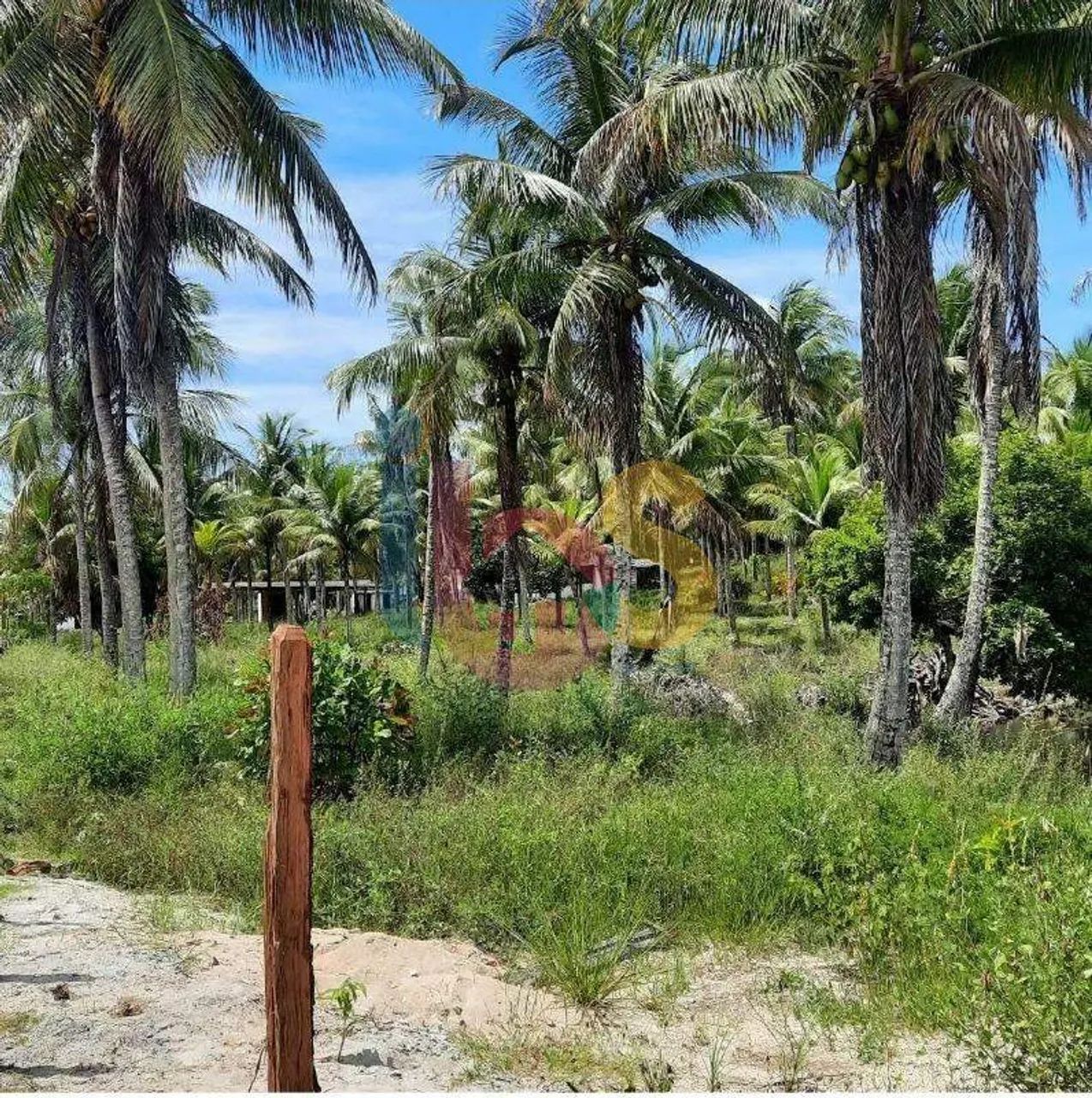 VENDO SITIO (LOTE) LENÇÓIS, UNA-BA - Foto 3