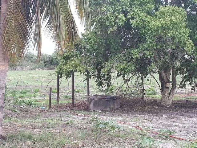 Ótima  Fazenda com 27 hectares de porteira fechada em traíras - Foto 2