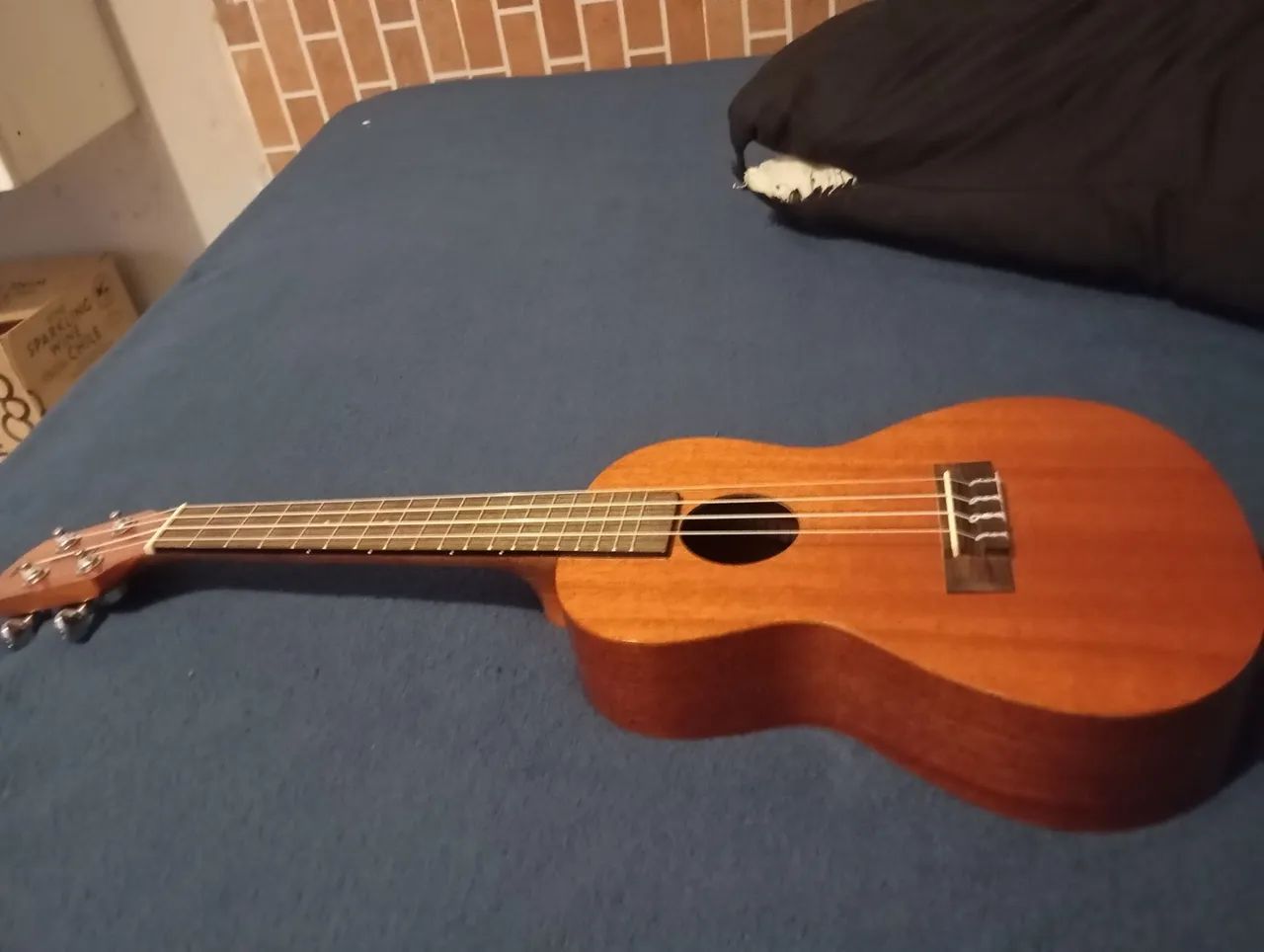 Ukulele soprano - Foto 4