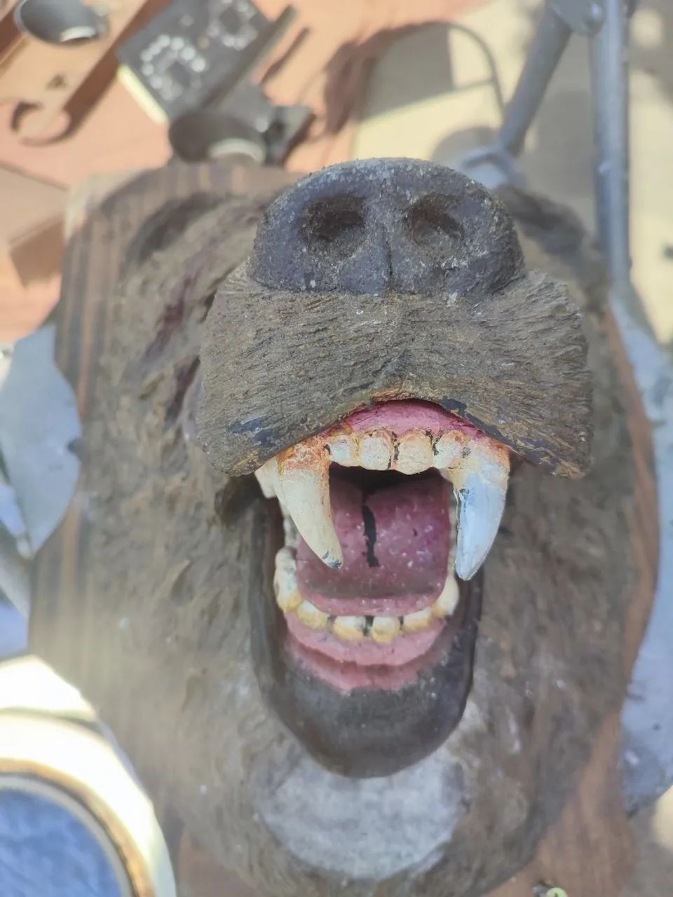 Cabeça de urso parede - Foto 2