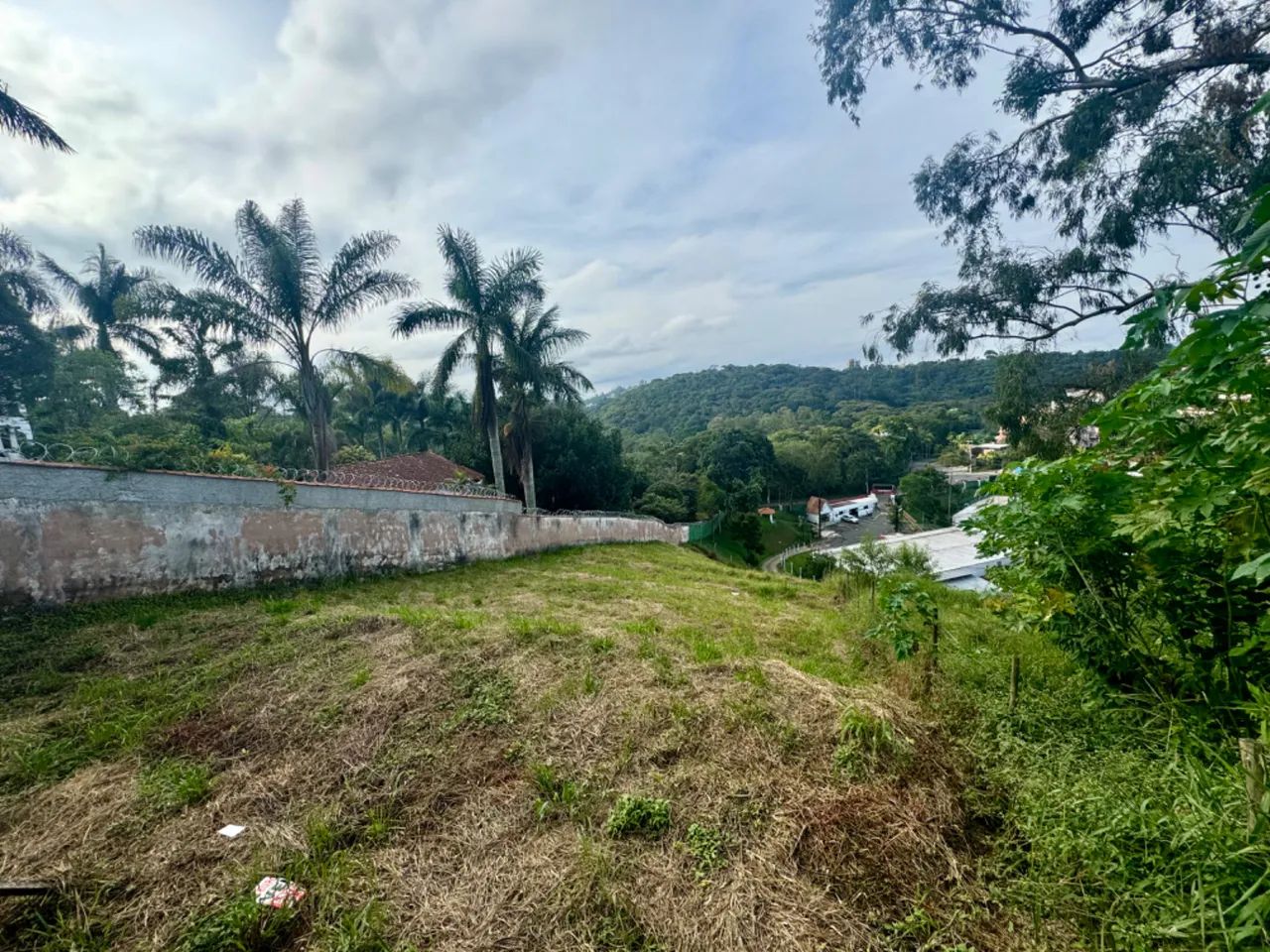 Terreno no Parque Alto - Foto 2