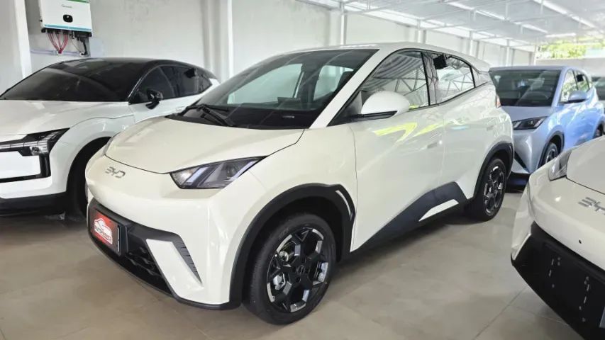BYD Dolphin Mini (Elétrico) 2027 - Foto 5