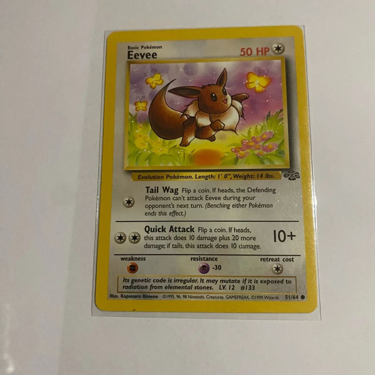 Duas Cartas Pokémon 