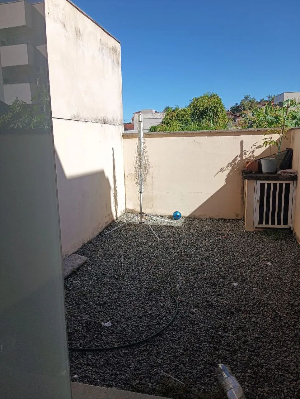 Geminado  - Foto 5