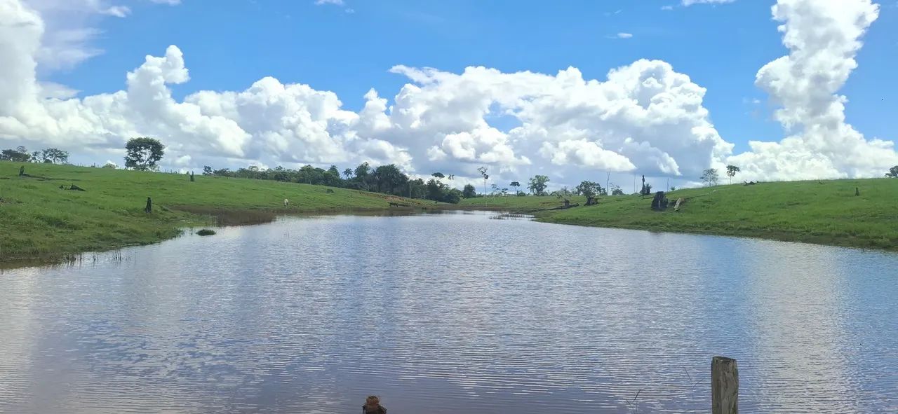 Vende-se terra  - Foto 4