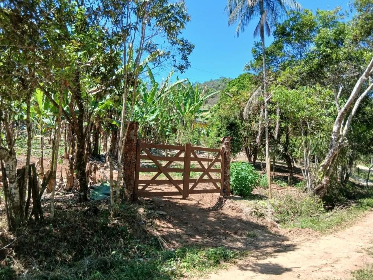 Muita água! - Foto 2