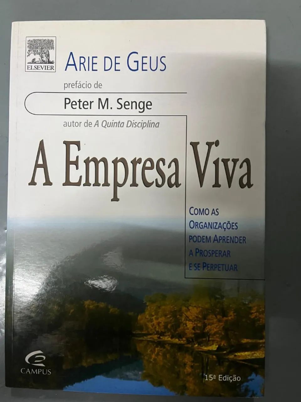 A Empresa Viva