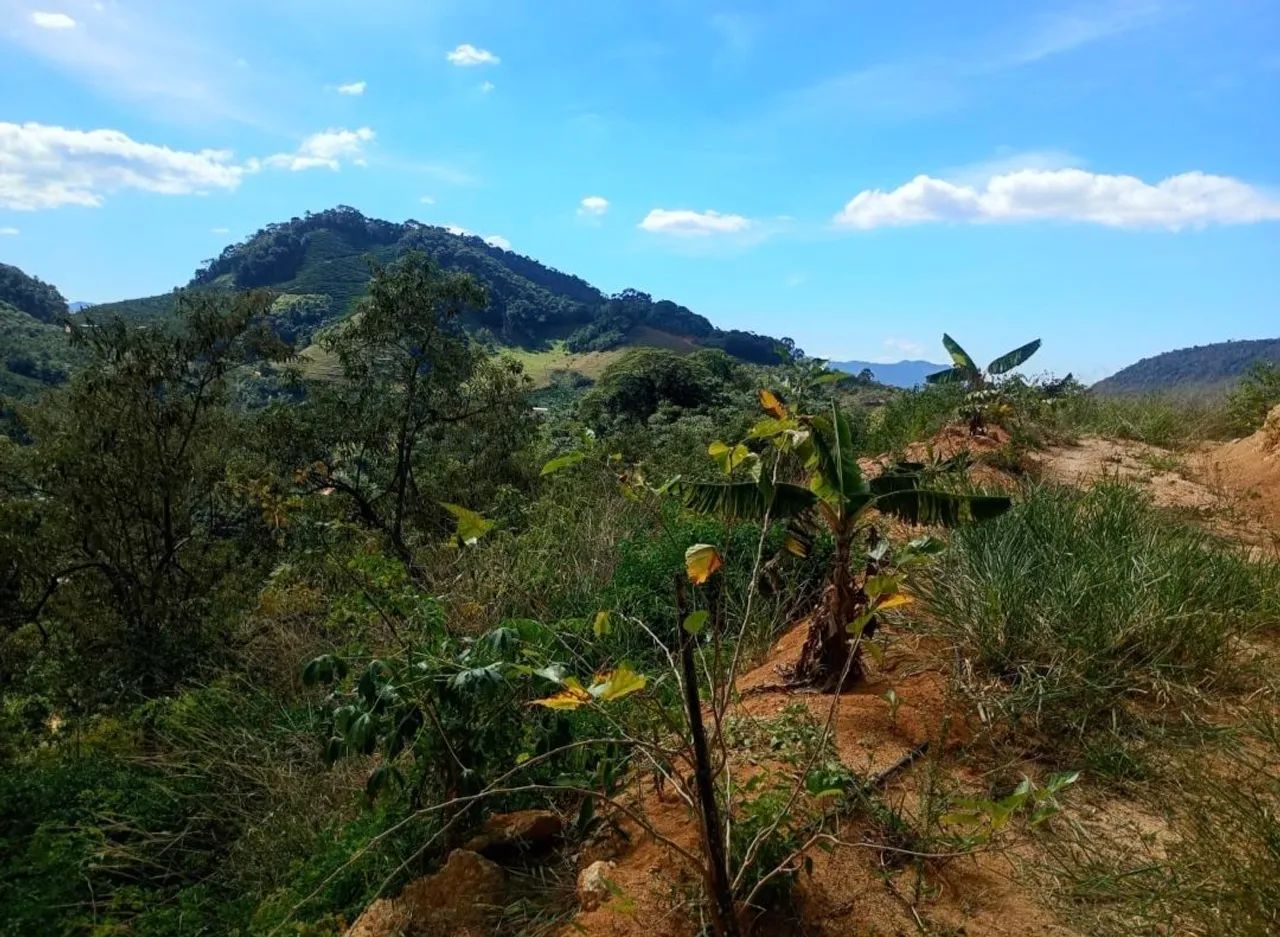 Terreno em Santa Leopoldina  - Foto 3