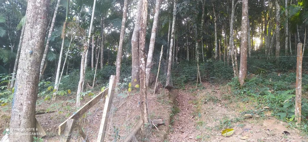 TERRENO PRÓXIMO DO CENTRO DE JUQUITIBA