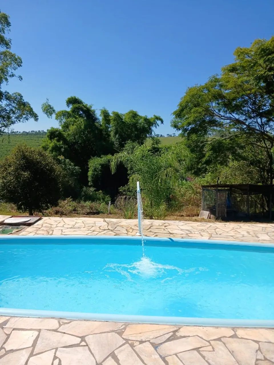 Foto - São Paulo - Jardim São Paulo(Zona Norte)