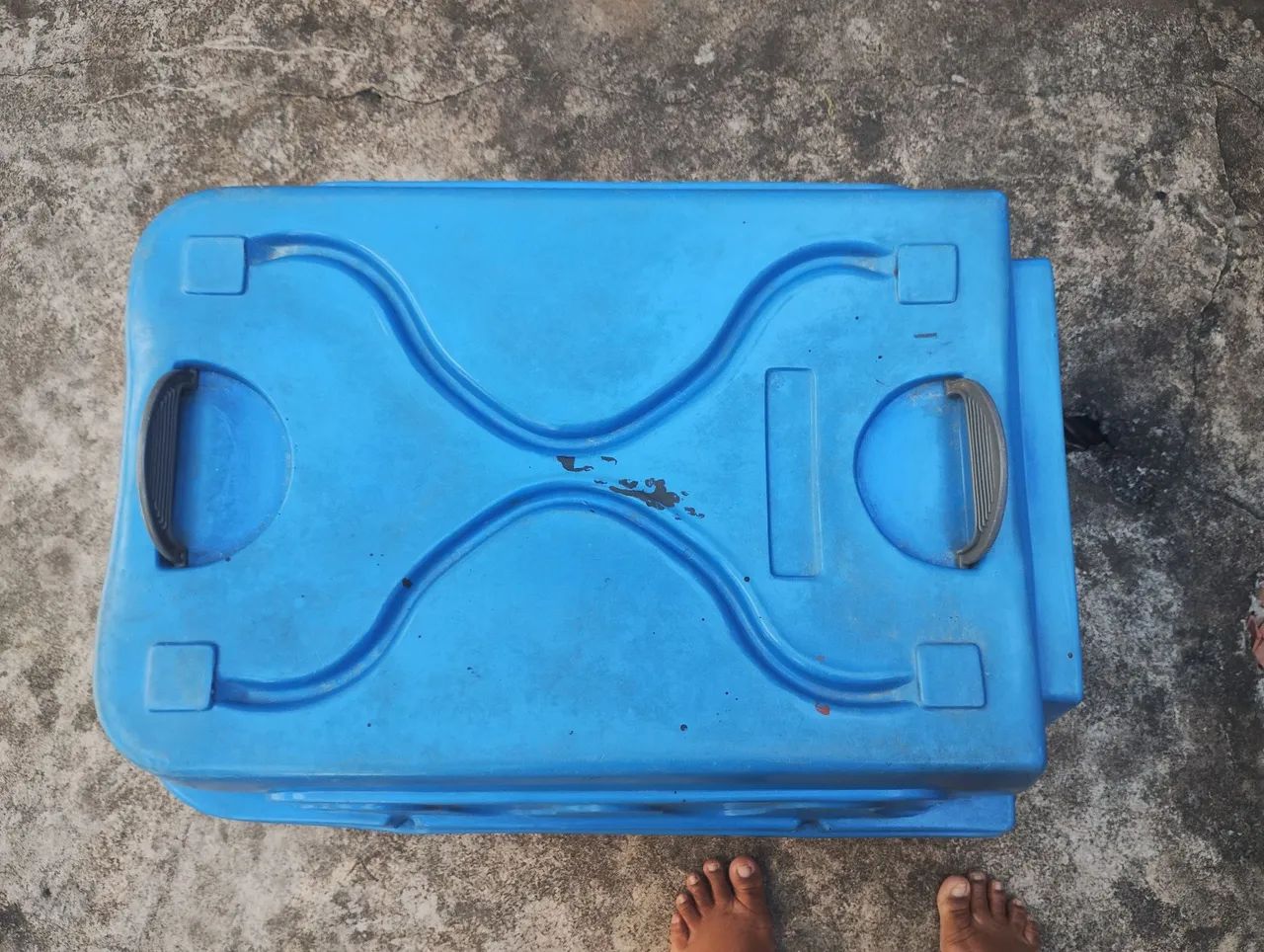 Caixa De Transporte Para Cachorro/Gato Tamanho Grande 65cm - Foto 3