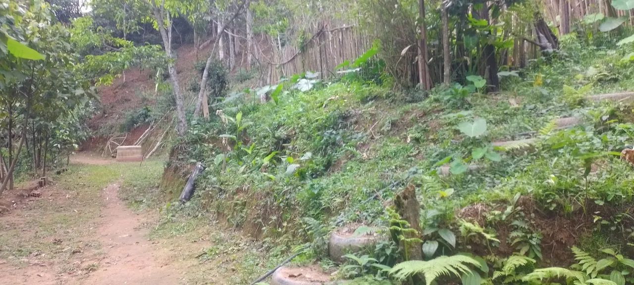 sítio a venda - Foto 5