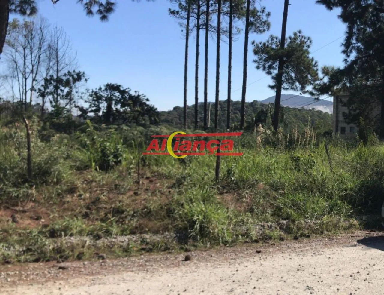 Excelente terreno de esquina com 1.317 m² - Foto 4