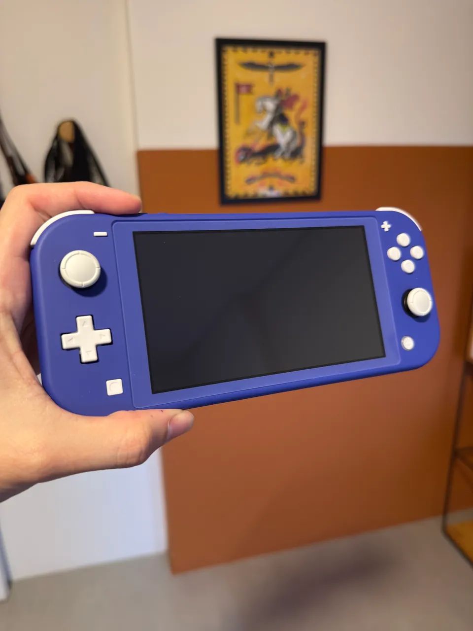 Nintendo Switch Desbloqueado