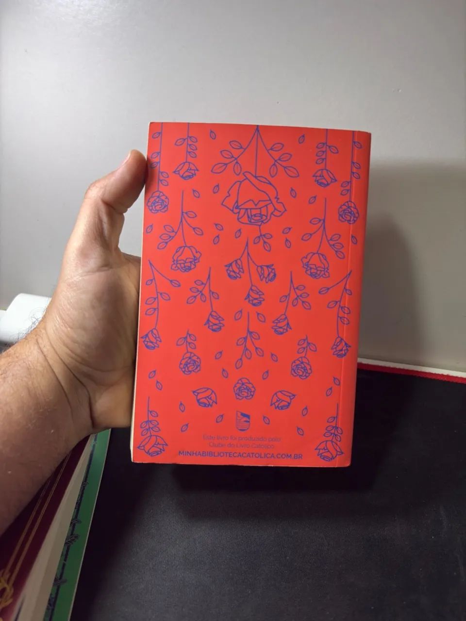Livros - Vida de São Domingos - Foto 2