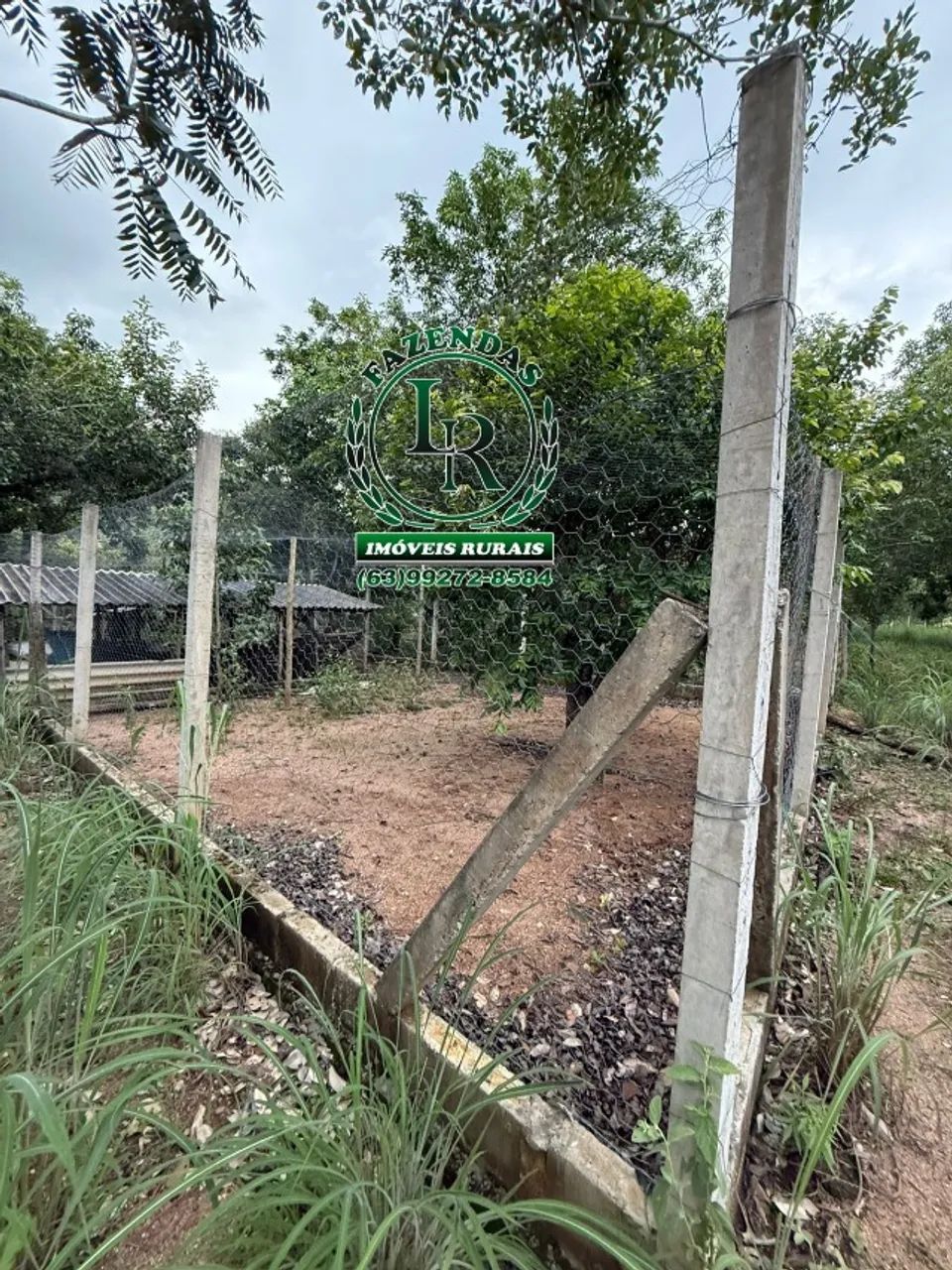 Chácara Região Machado Taquaruçu Grande - Foto 2
