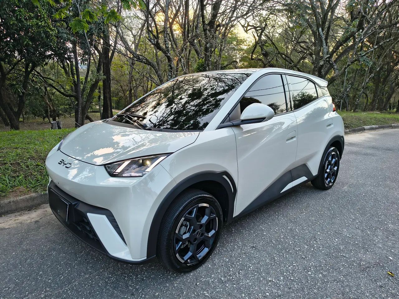 BYD Dolphin Mini (Elétrico) 2026