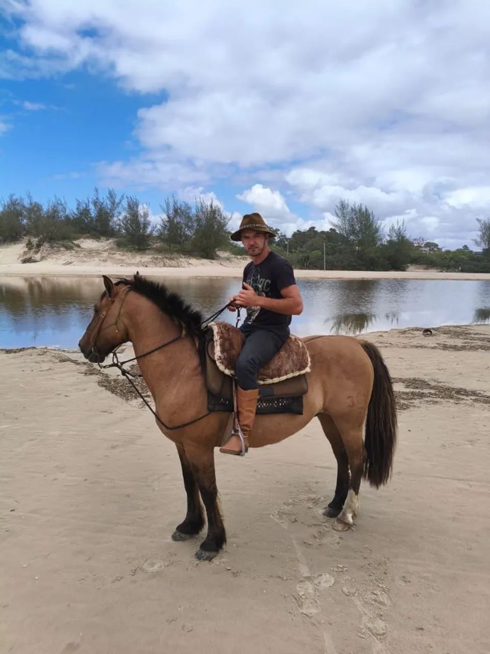 Vendo cavalo Crioulo  - Foto 3