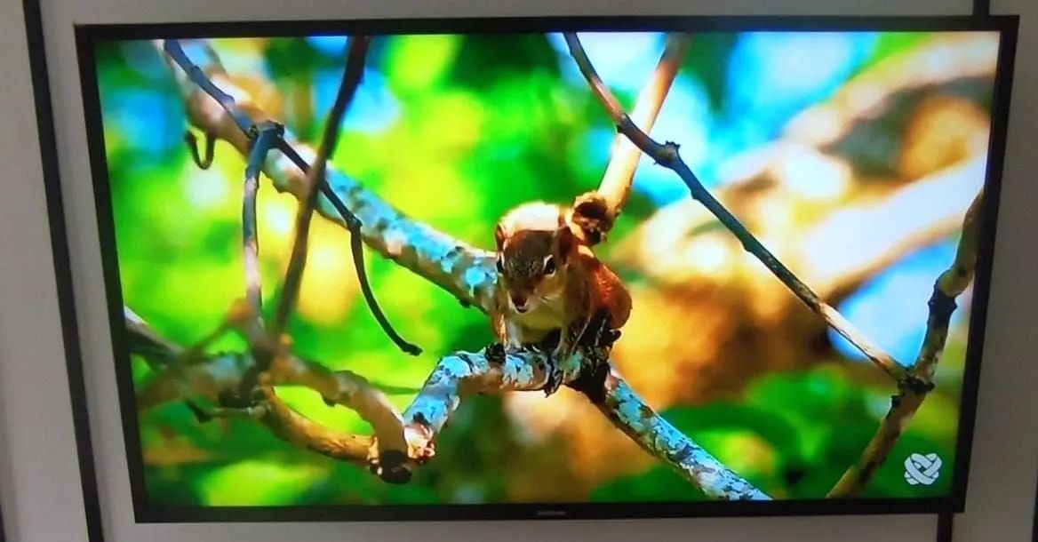 Smart TV 40 Samsung 
