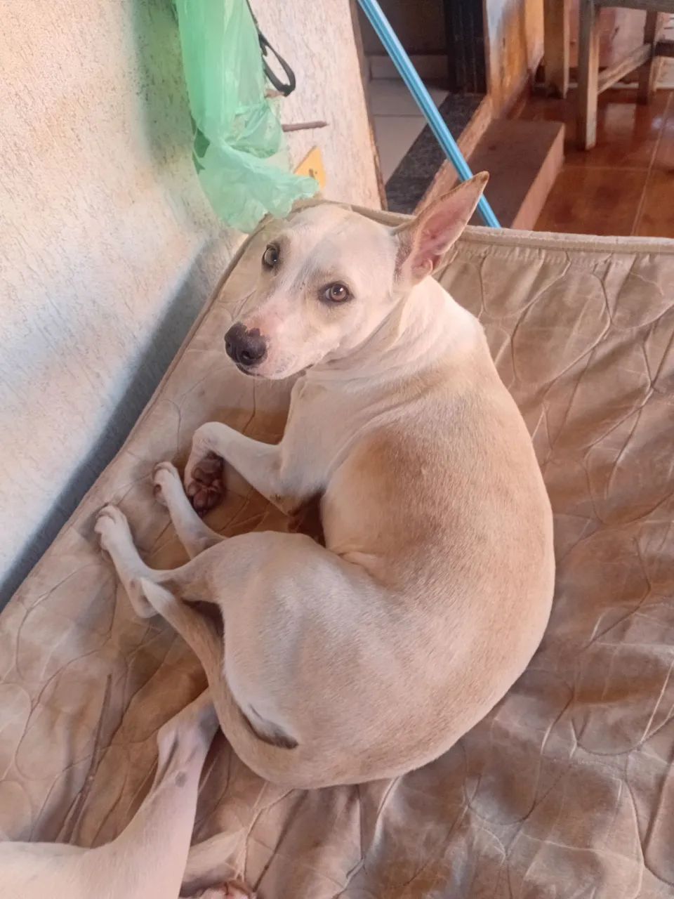 Doação 