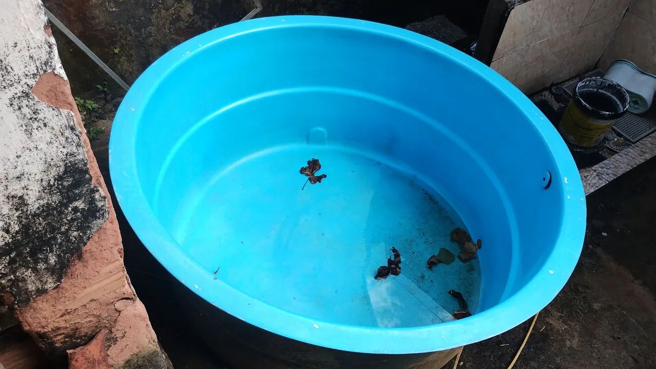 Vendo essa piscina  - Foto 2