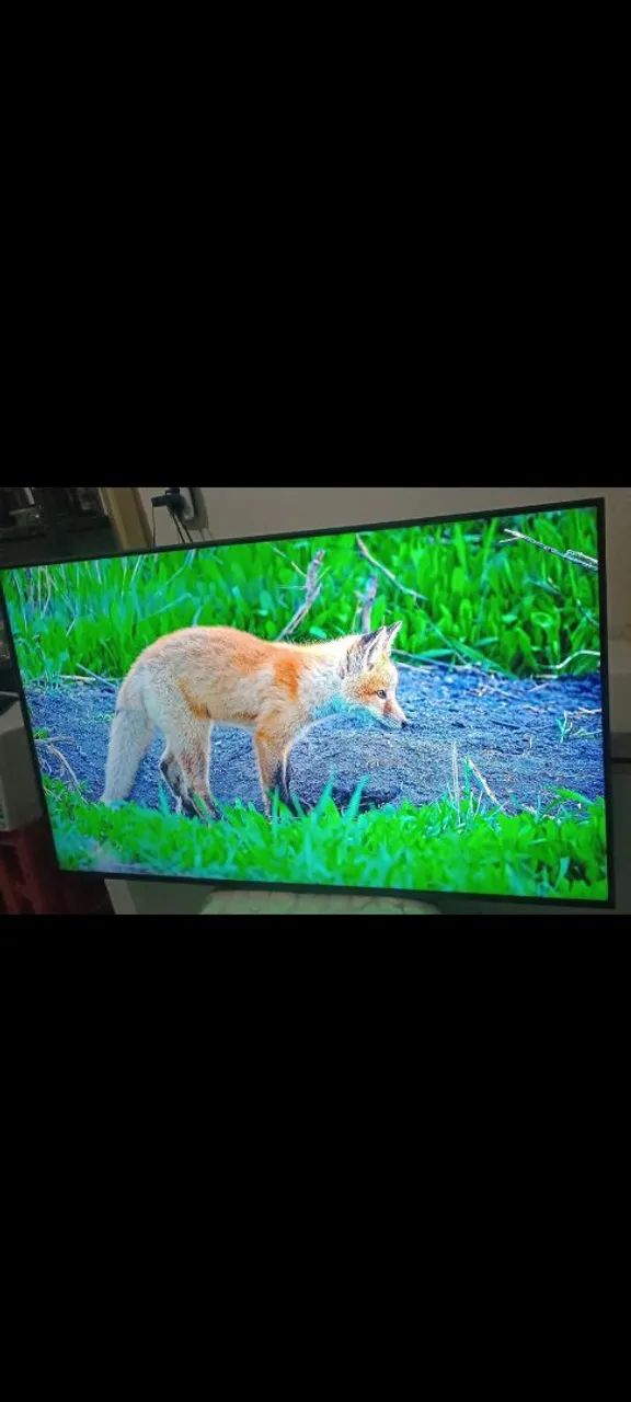 Tv Smart LG 50 Polegadas 4k Ultra HD Completa Top de Verdade! - Foto 2