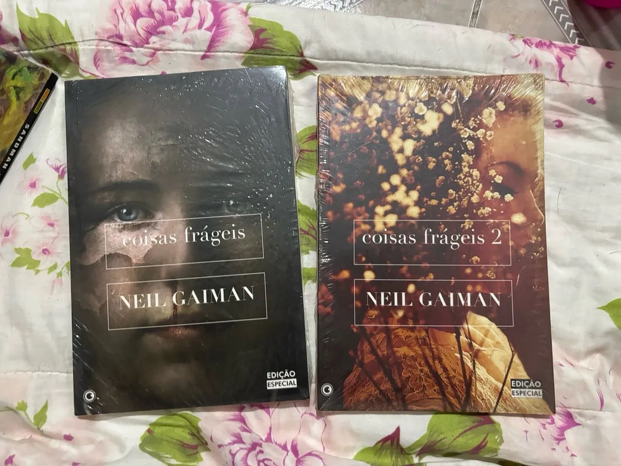 Coisas frágeis 1 e 2 - Foto 5