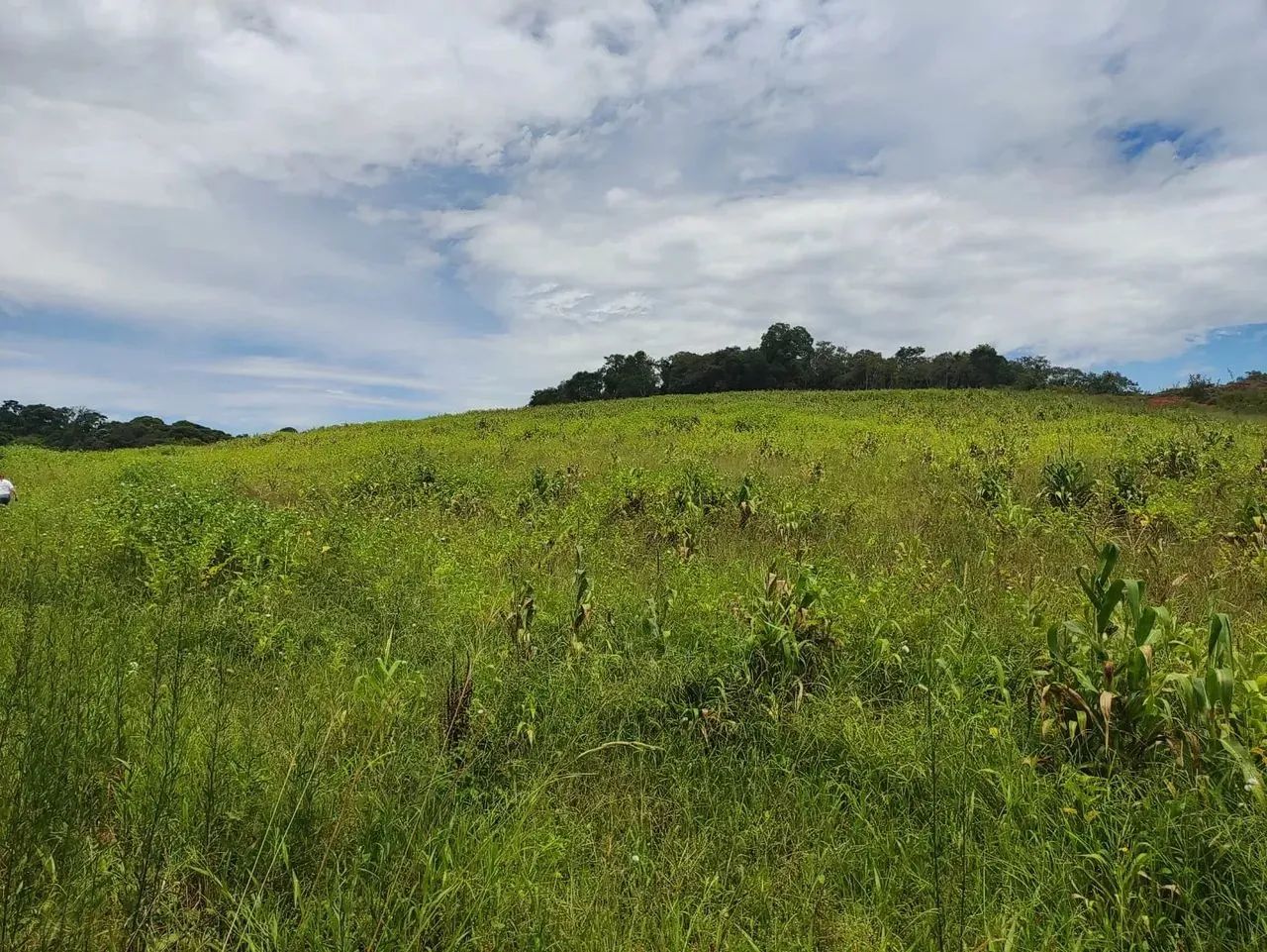 Lotes de 500 a 1.000 m² à venda em Ibiúna-SP - Foto 6
