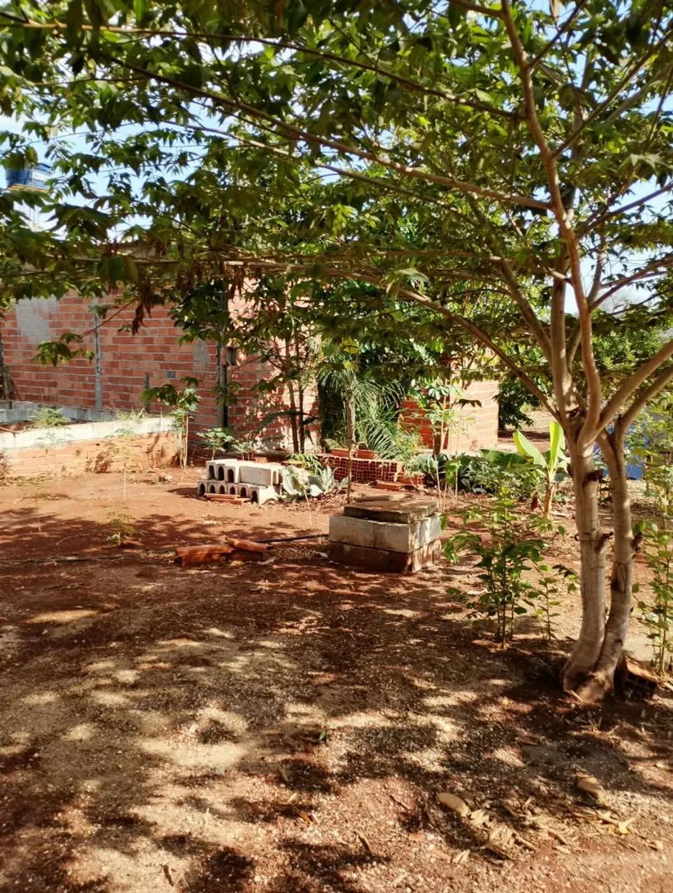 Chacara vendo  - Foto 4