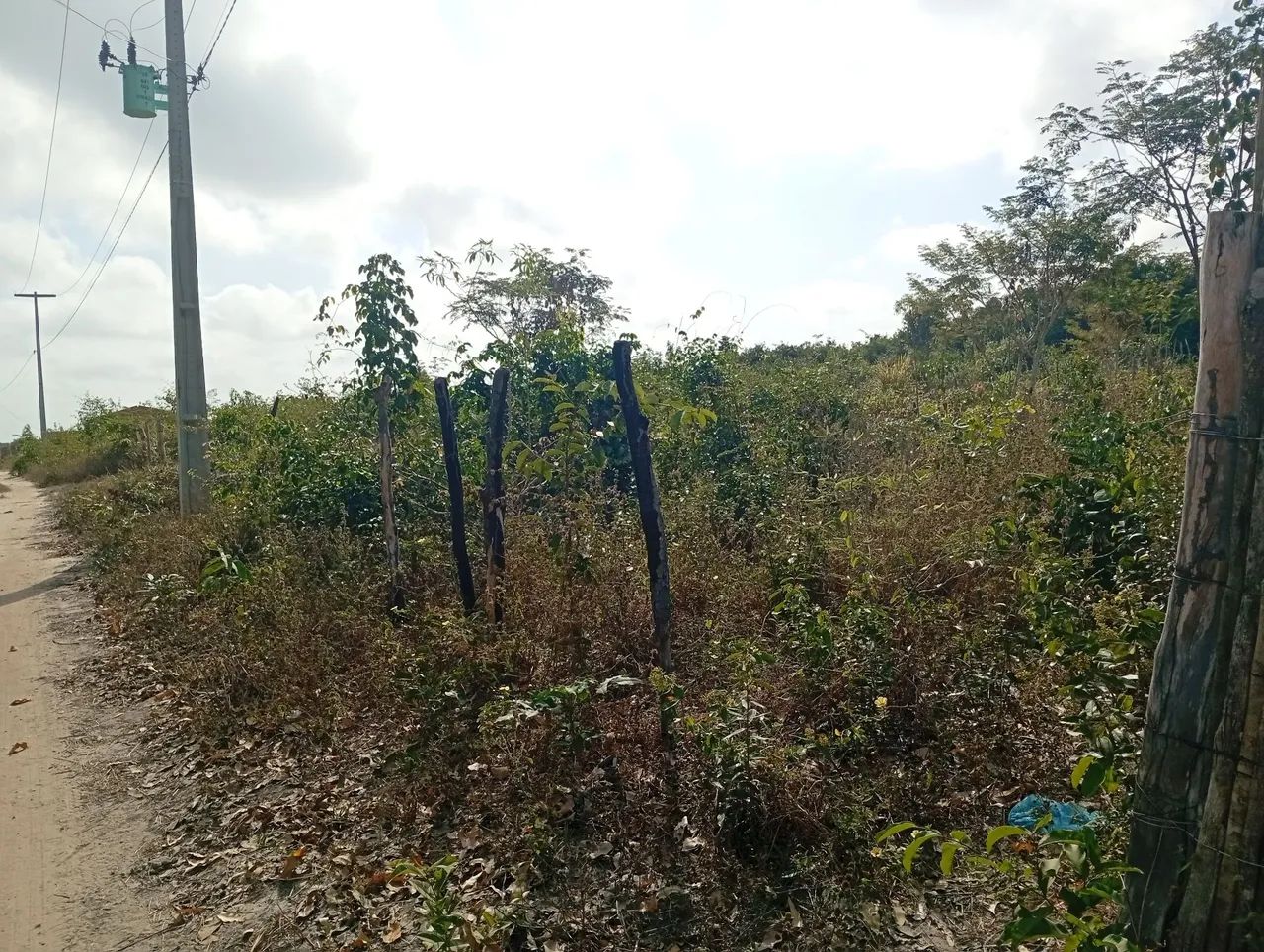 Terreno 25m quadrado planu - Foto 3