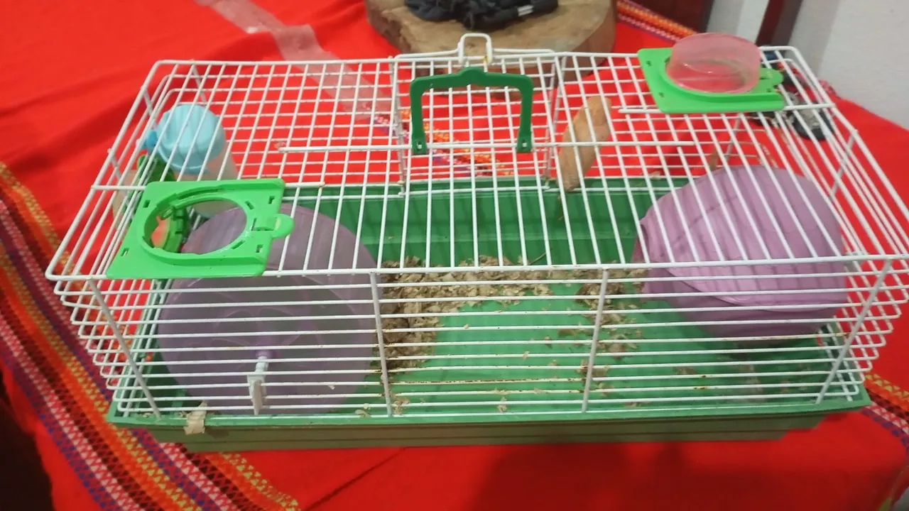 Vendo gaiola de hamster - Foto 4