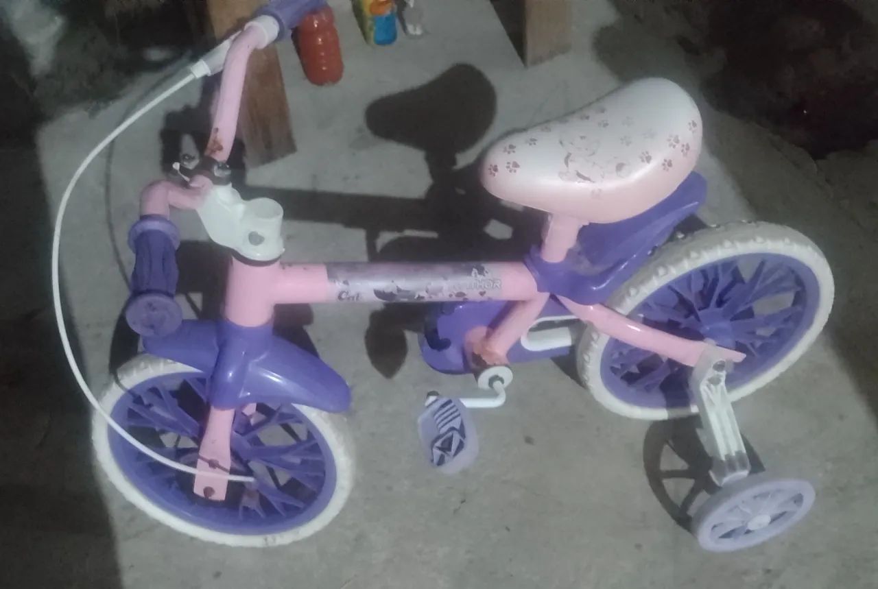 Bicicleta infantil feminina 