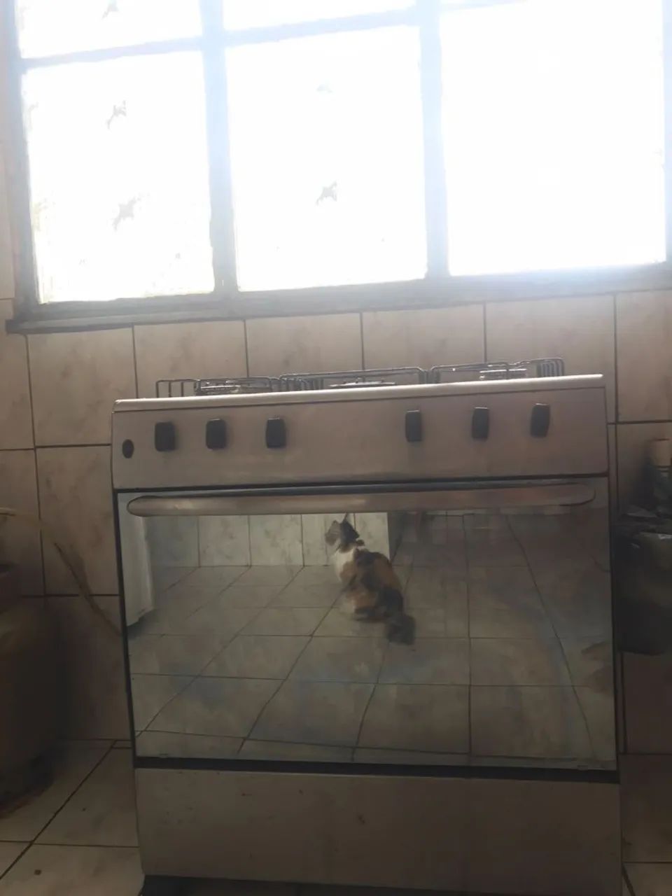 fogão 