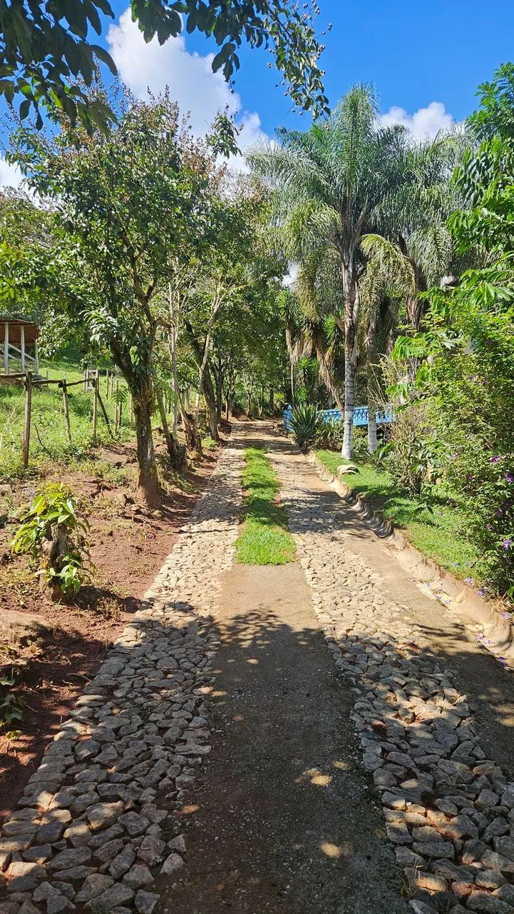 Alugo sítio pra final de semana - Foto 12