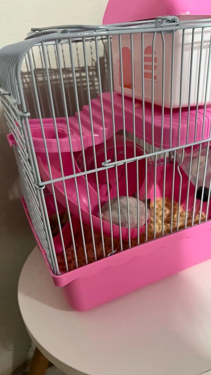 Hamster com gaiola  - Foto 3