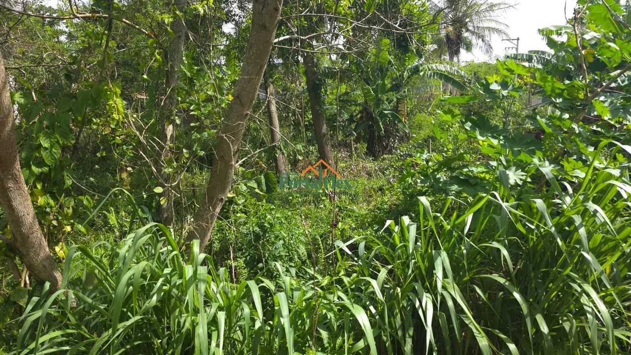 Terreno à venda em Enseada de Jacaraipe - Serra/ES - Foto 3