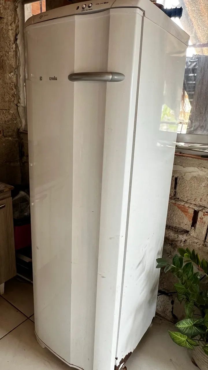 Frizer vertical 