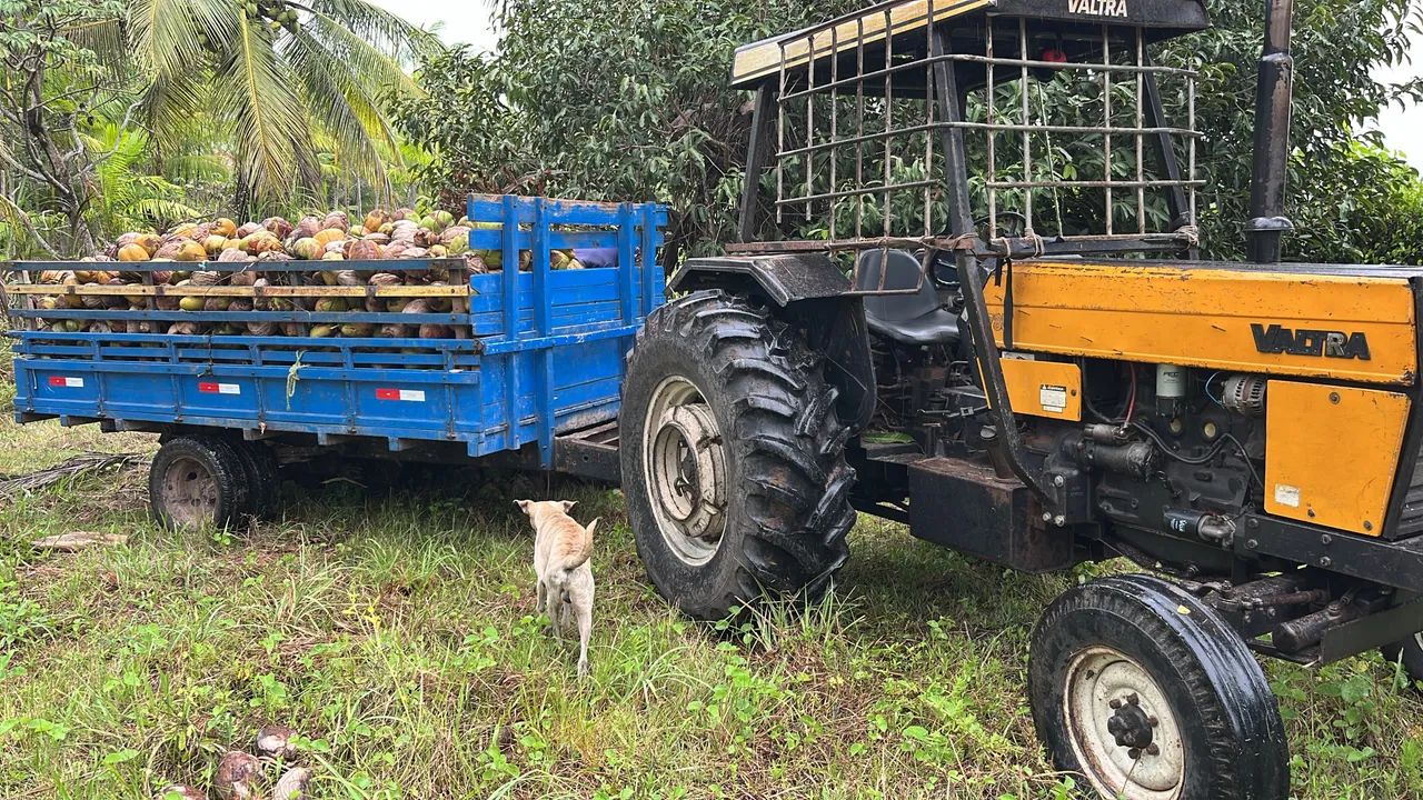Trator valtra 785 com implementos - Foto 2