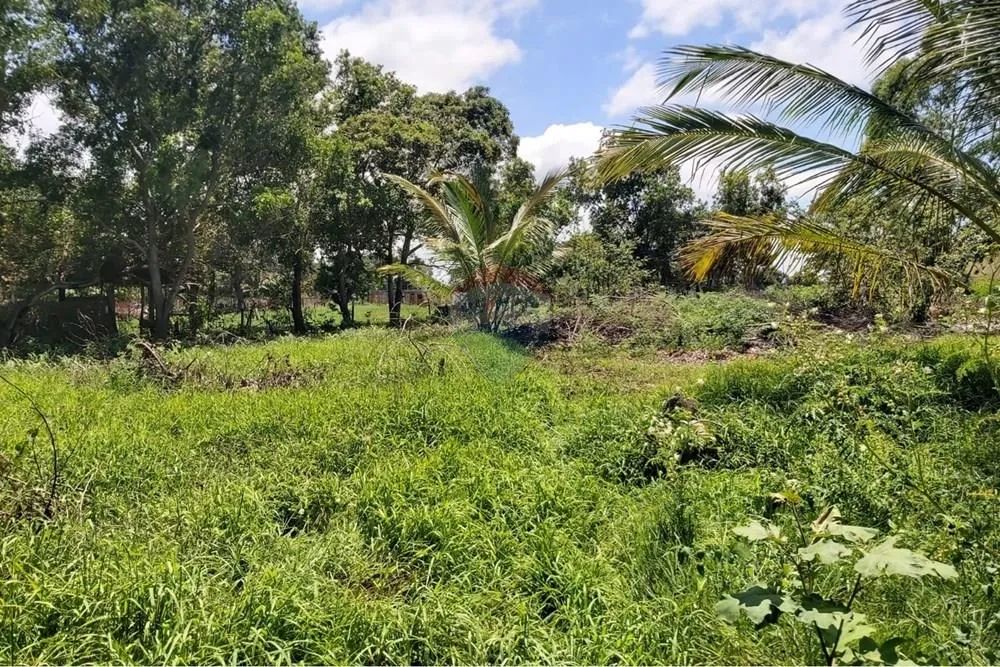 Área de 6.208 m² á venda - Foto 3