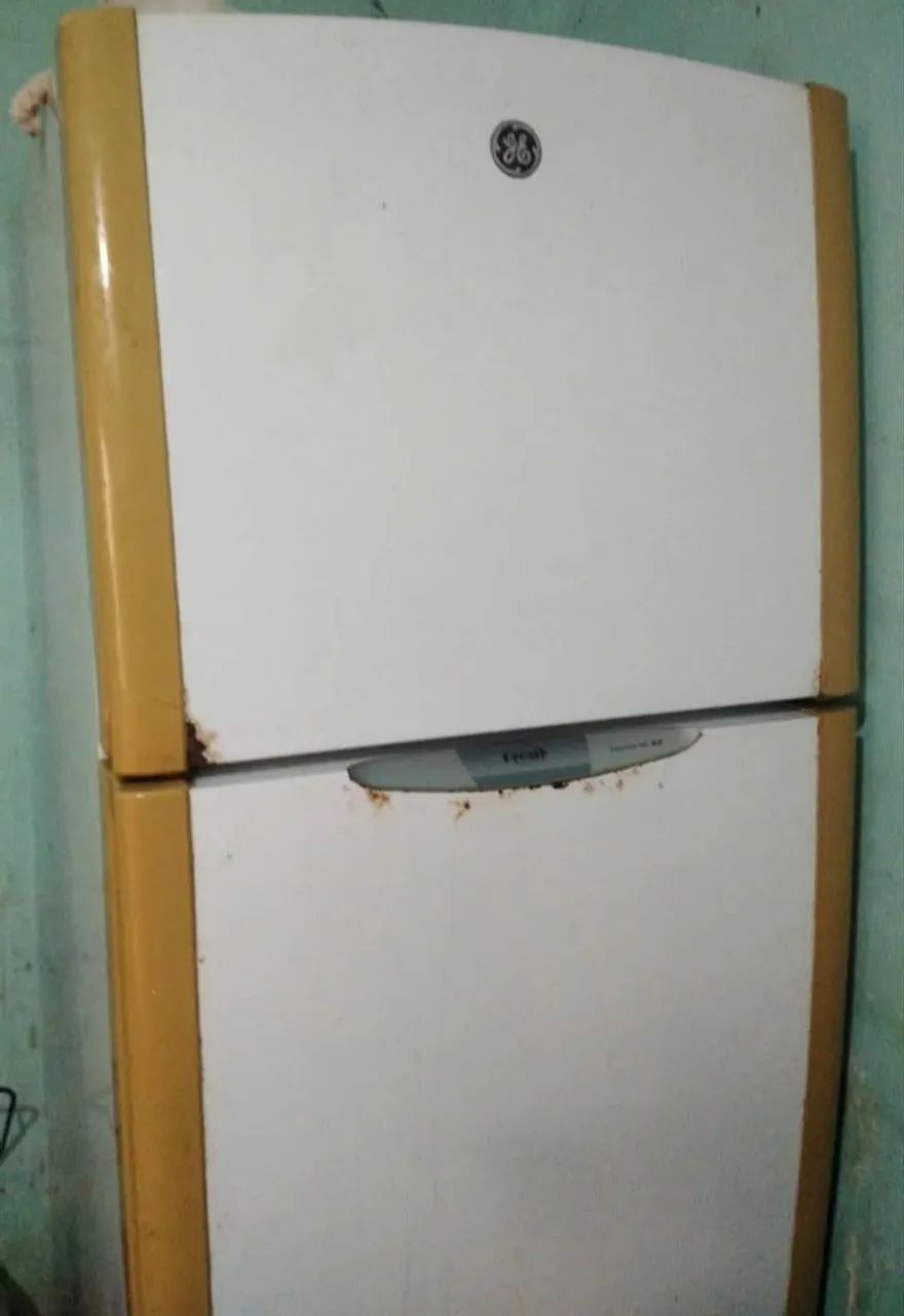 Geladeira Frost Free Duplex
