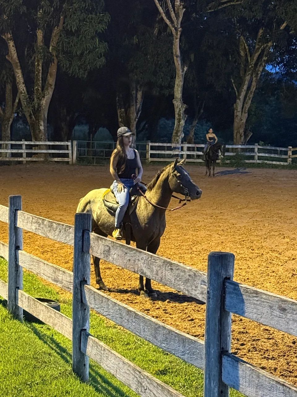 VENDO POTRA APPALOOSA