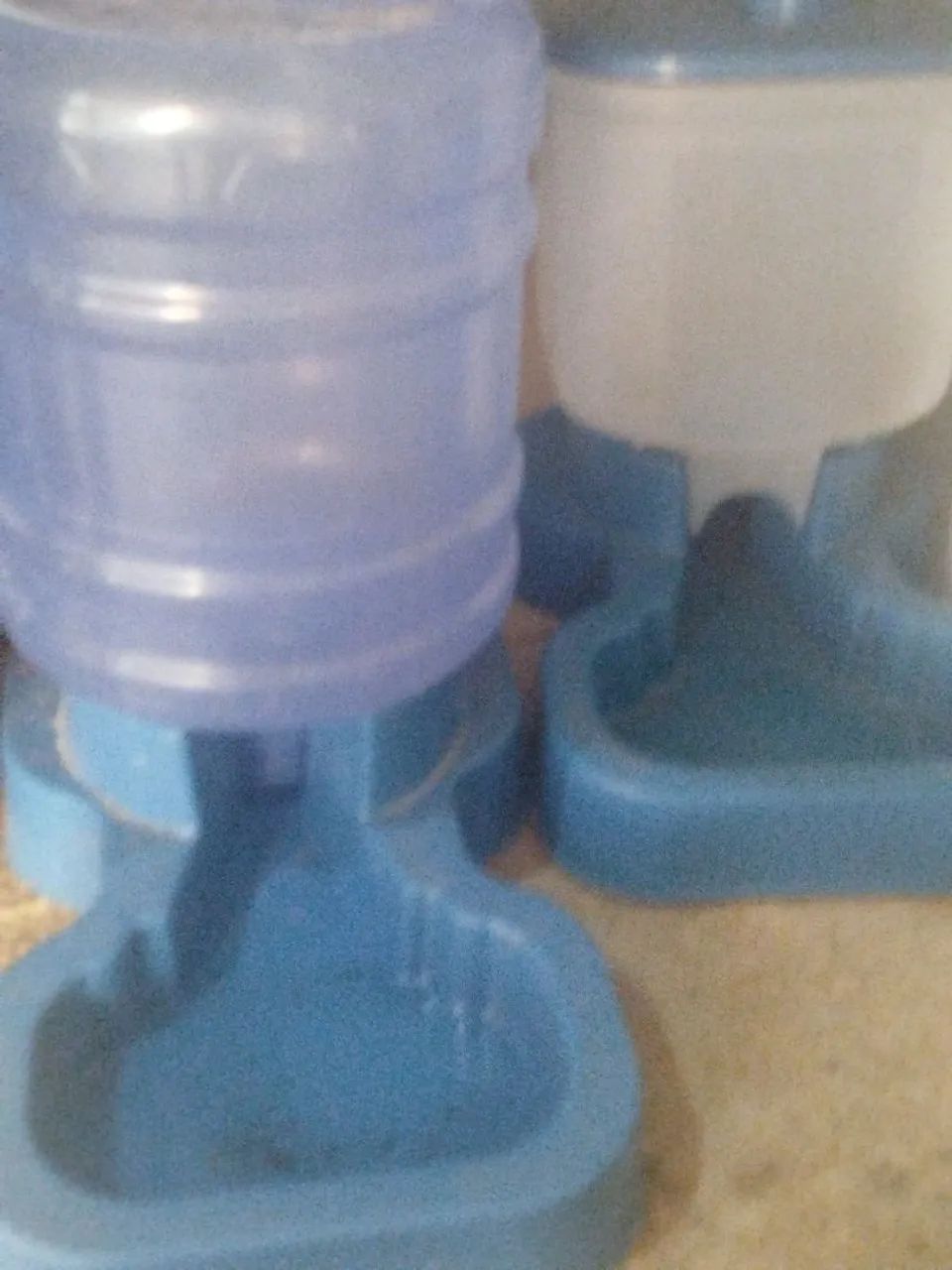 Casinha de cachorro+ suporte de água e comida  - Foto 3