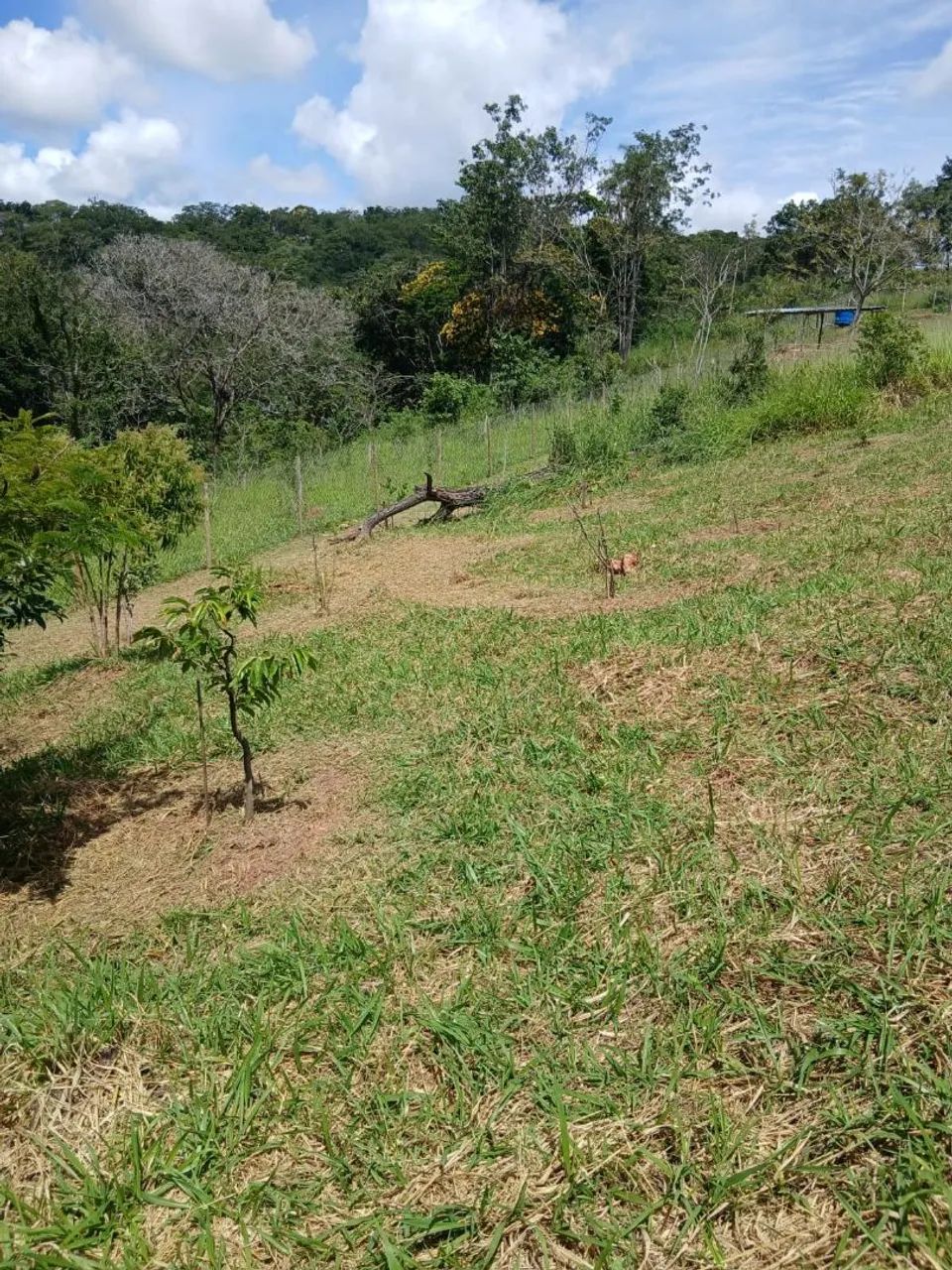 Terreno em Jaboticatubas - Foto 3