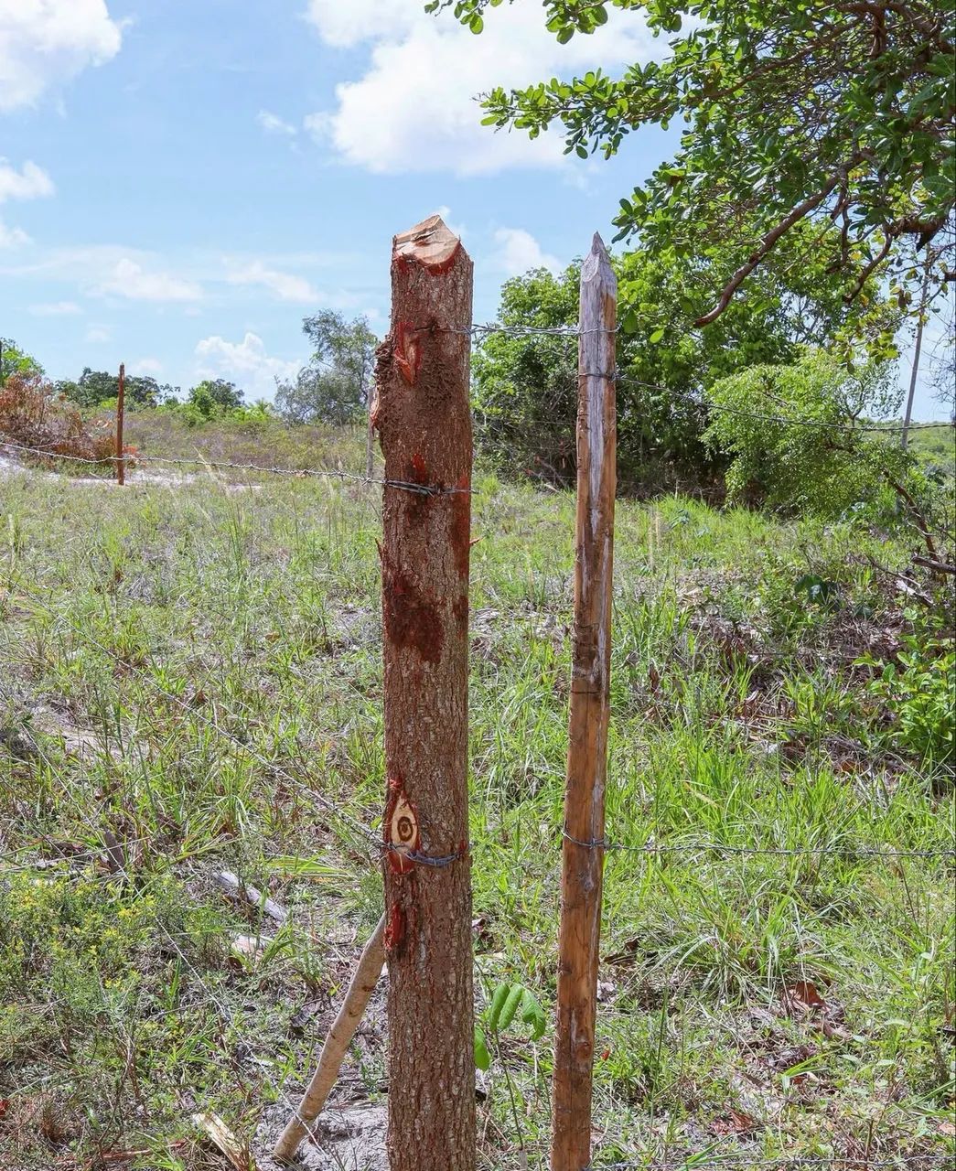 Lotes em Subaúma  - Foto 4